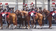 Kleine Historie zum Thema – Garde. Als Garde werden besondere militärische Verbände bezeichnet, die als Leibwache oder Haustruppe für den Ehrenwachdienst oder repräsentative Zwecke eingesetzt werden. Vor allem seit Napoleon I. zählen aber auch Kern- und...