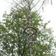 30. April 2013 Wie in den Jahren zuvor setzte die Garde Kin Wiever den tradtionellen Maibaum auf dem Dorfplatz auf. Der Maibaum wurde gegen 17.00 Uhr im Knipprather Busch geschlagen […]